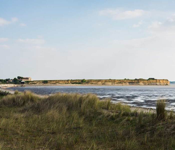 La réserve naturelle du Marais d'Yves
