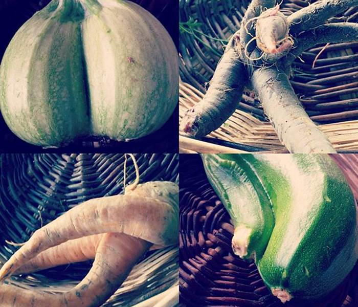 Variation de Légumes Bio