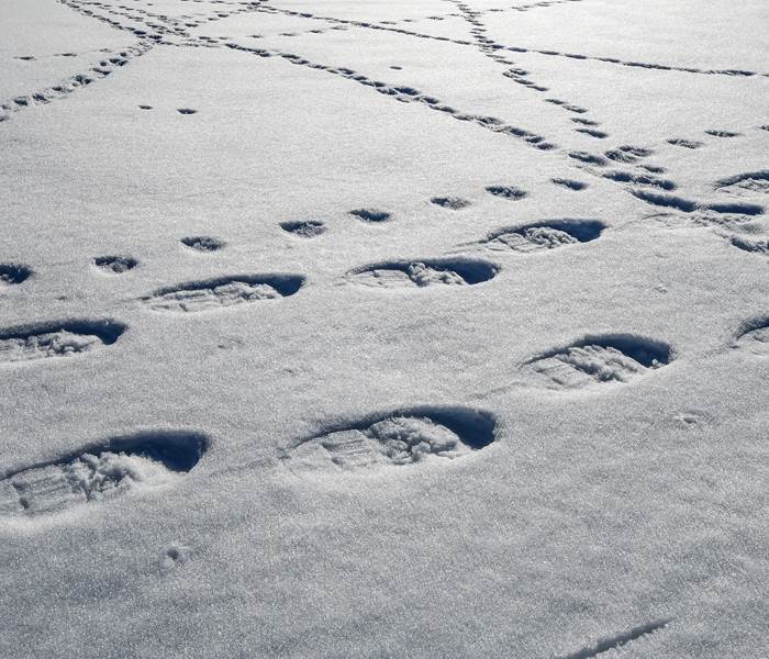 Balade en raquettes, Vosges