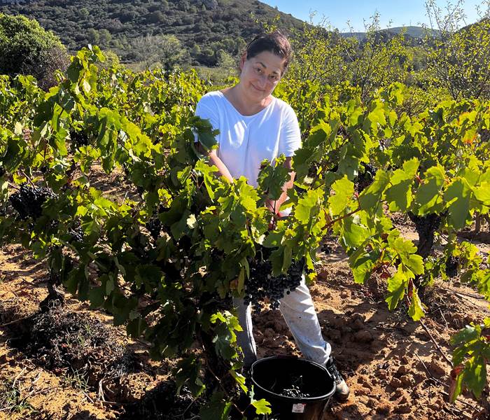 Petite pose dans les carignans