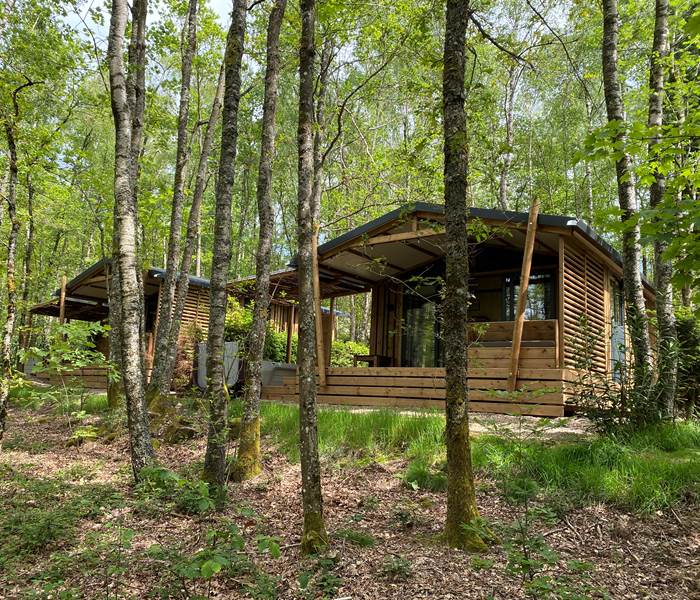 Vacances dans les Vosges : Détente, Nature et Logements Insolites