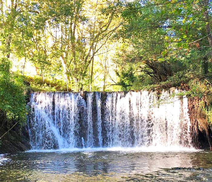 A 10 minutes de Cosy Nature, la petite cascade de la Vis