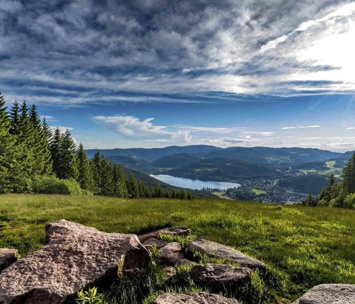 Vacances dans les Vosges : Détente, Nature et Logements Insolites
