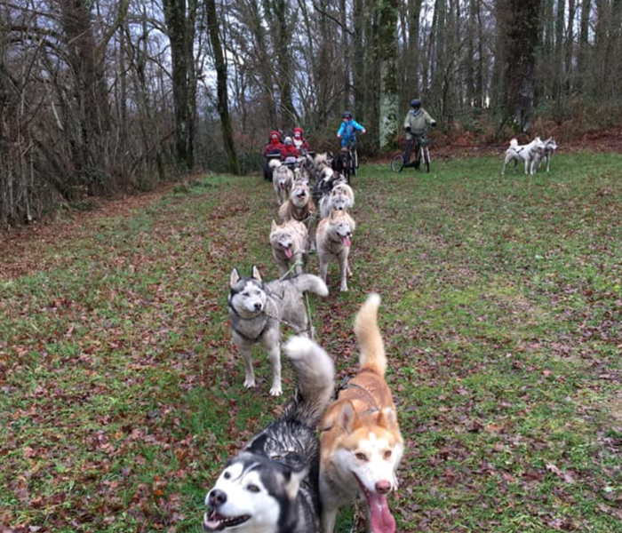 huskincreuse