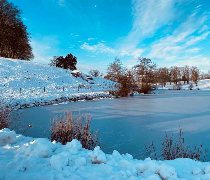 chambredhotes-lacgele-immersionaveclanature-hiver-paysage-correze-cantal