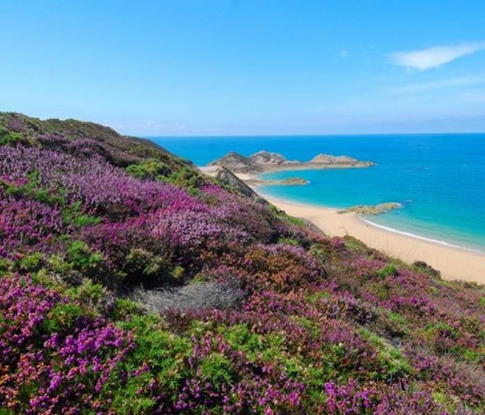 le-cap-erquy-600x402
