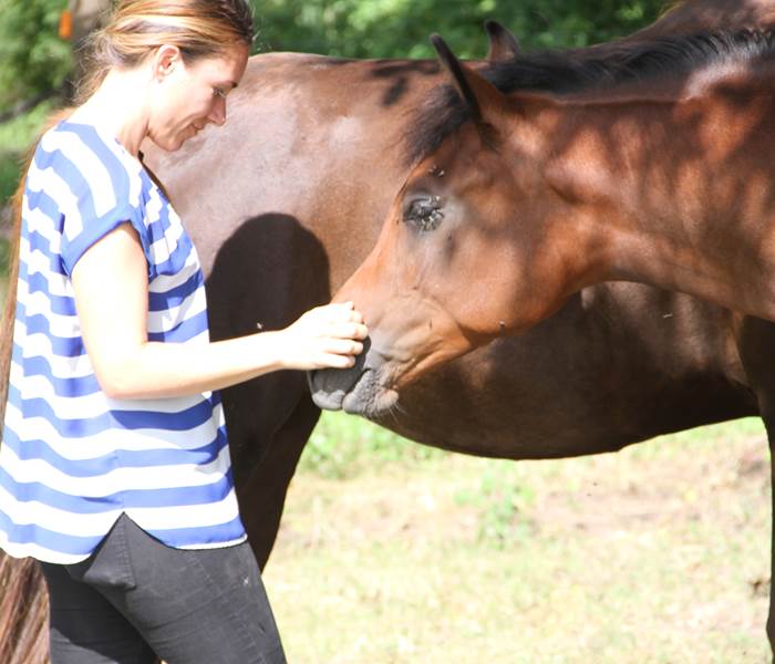 Connecting with young foals