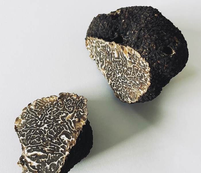 fête-de-la-truffe-Sarlat-Périgord