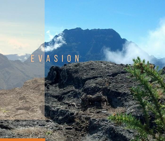 L'Orée du Maïdo - évasion