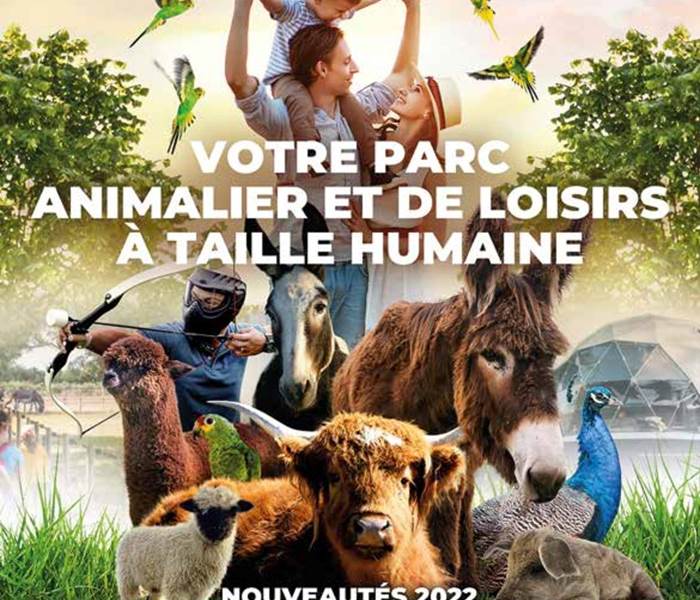 Sans titre