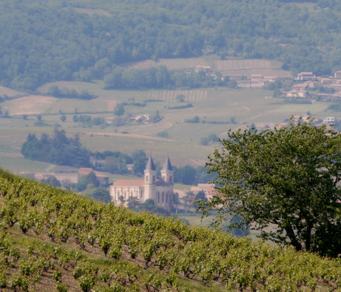 Le Beaujolais et ses nombreux clochers