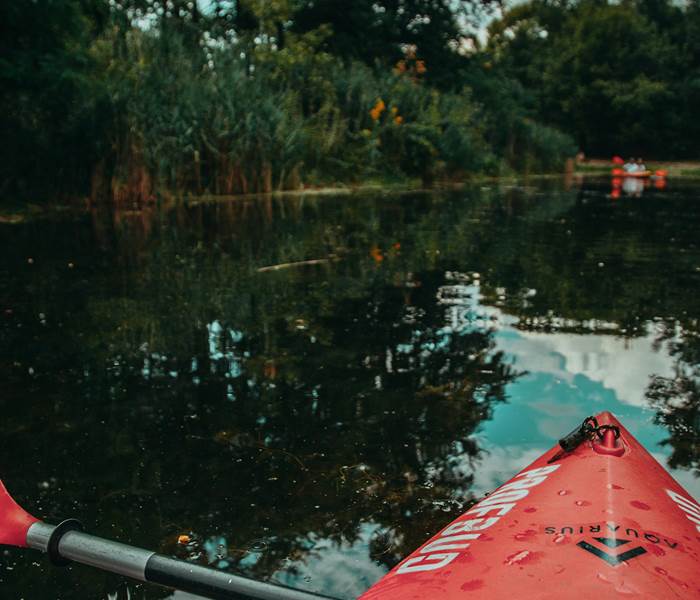 Kayak
