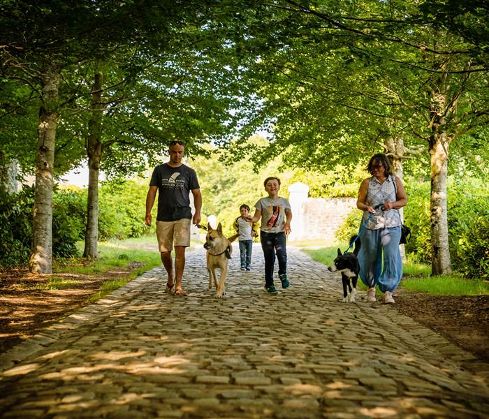 Domaine du Lain - Gestel
