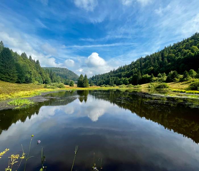 Lac de Longemer, Vosges