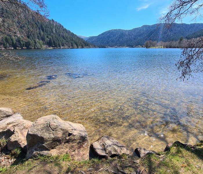 Lac de Longemer, Vosges