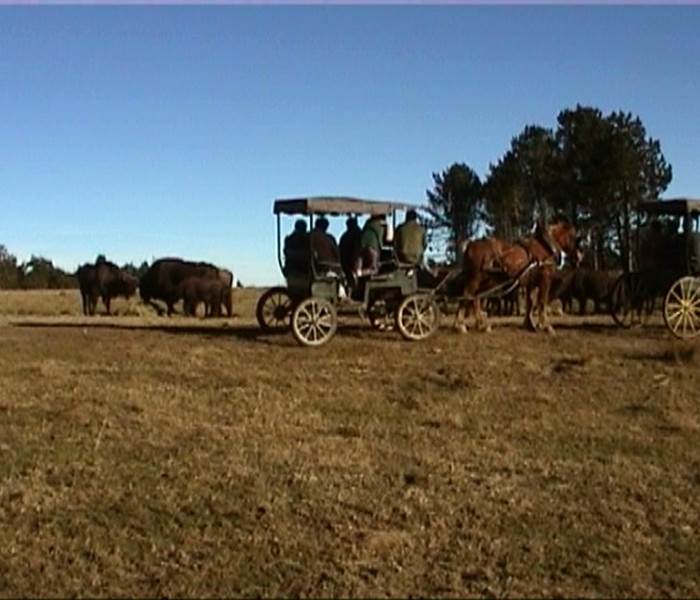 Les Chalets de la MARGERIDE: Des visites attrayantes en groupes