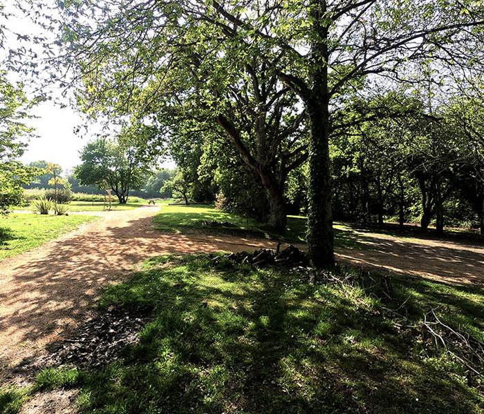 Arbres glamping vue sur le terrain de petanque au loin