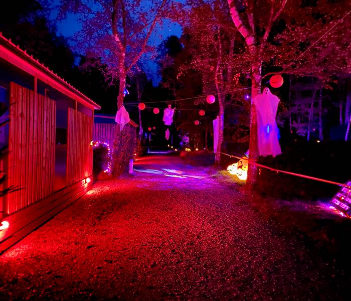 OFFRE SPÉCIALE HALLOWEEN 🎃 👻