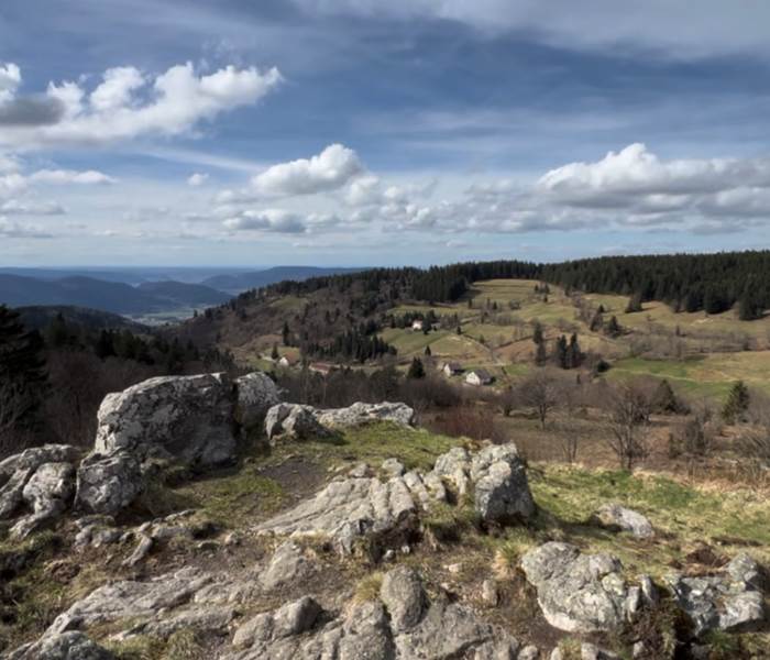 Piquante Pierre, Vosges