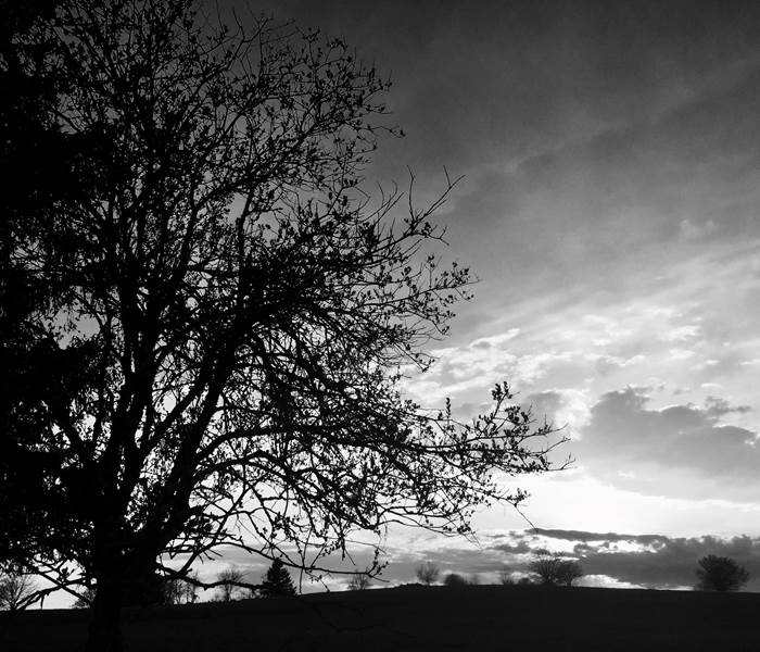 Haut du Tôt, Vosges