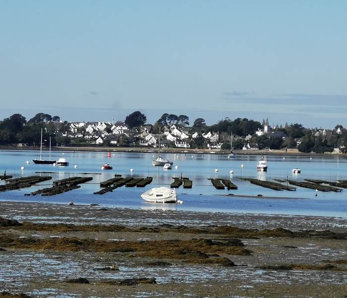 Domaine de Kerizel-Bretagne sud-Maison d'hôtes-golfe du morbihan-ile aux moines