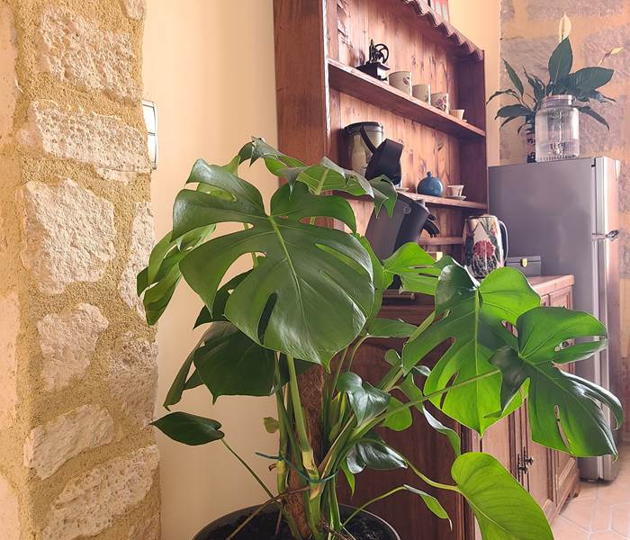Coffee & Tea bar