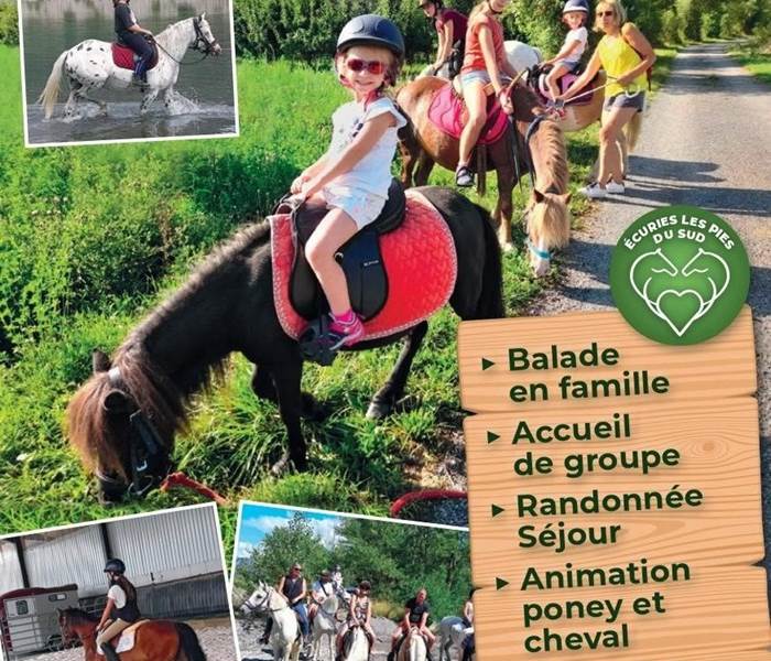 Ecuries les Pies du Sud - Rochebrune
