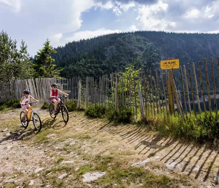 Randonée VTT dans les Hautes Vosges