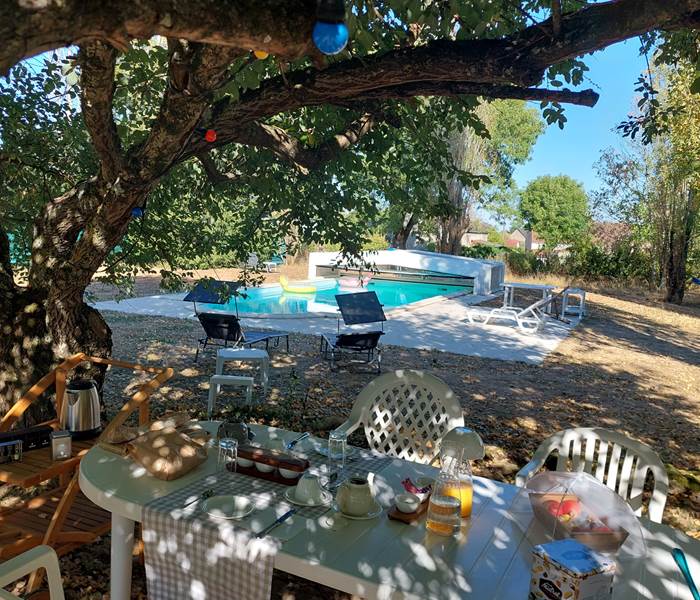 Petit déjeuner sous le saule