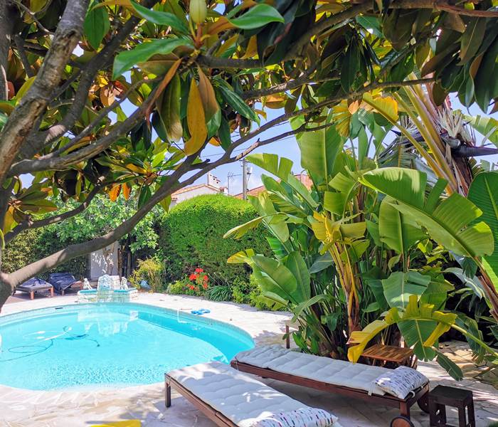 la piscine a Blue Dream