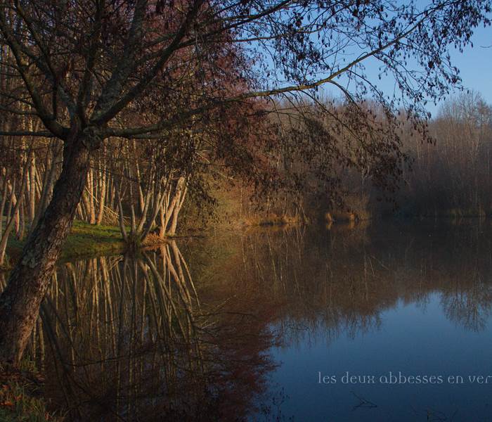 Etang