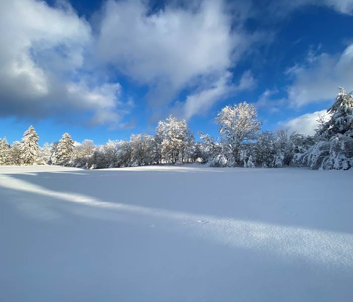 Neige dans les Vosges