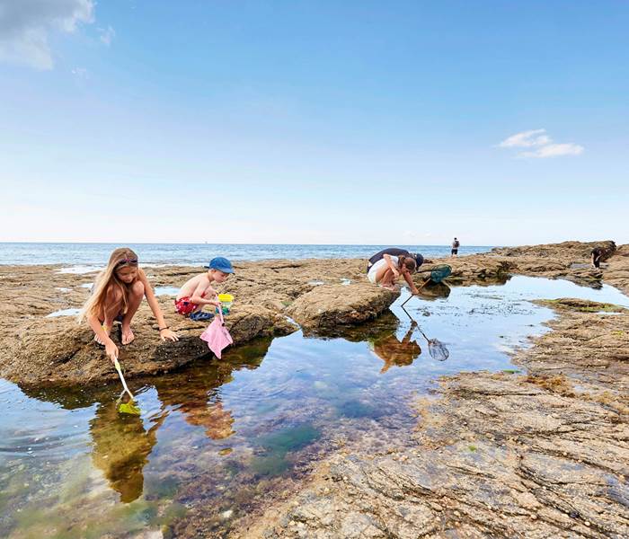 Domaine de Kerizel-Bretagne sud-Maison d'hôtes-pêche à pieds-© A.Lamoureux – Golfe du Morbihan Vannes tourisme