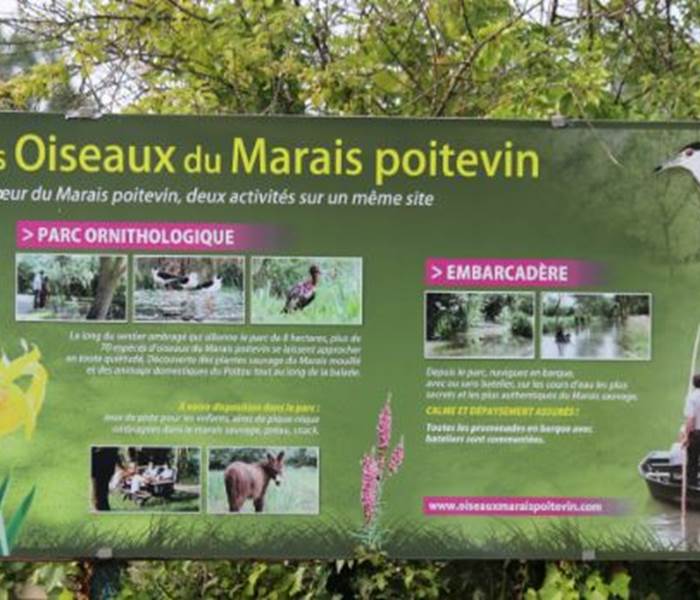 Sans titre