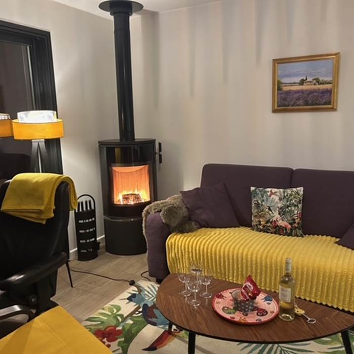 Salon avec poele à bois-photo-news