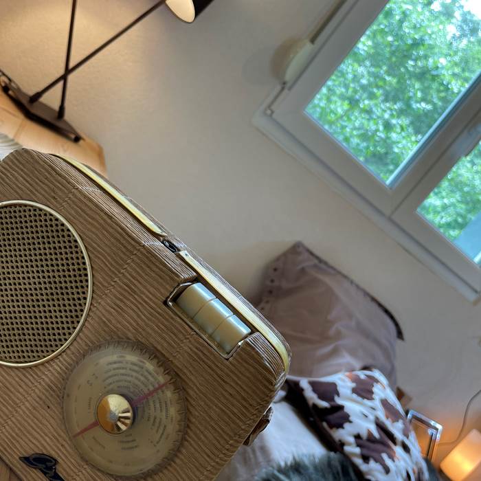 Le rockin70_Gîte Mountain_Déconnexion nature Vosges_Séjour nature Gérardmer_Gîte 8 personnes Vosges_Chalet forêt (21)