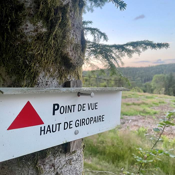 Le rockin70_Gîte Mountain_Déconnexion nature Vosges_Séjour nature Gérardmer_Gîte 8 personnes Vosges_Chalet forêt (6)