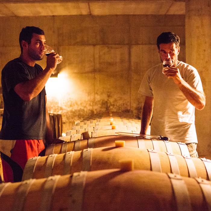 degustation-cave-vin-gaillac-16 bis gite