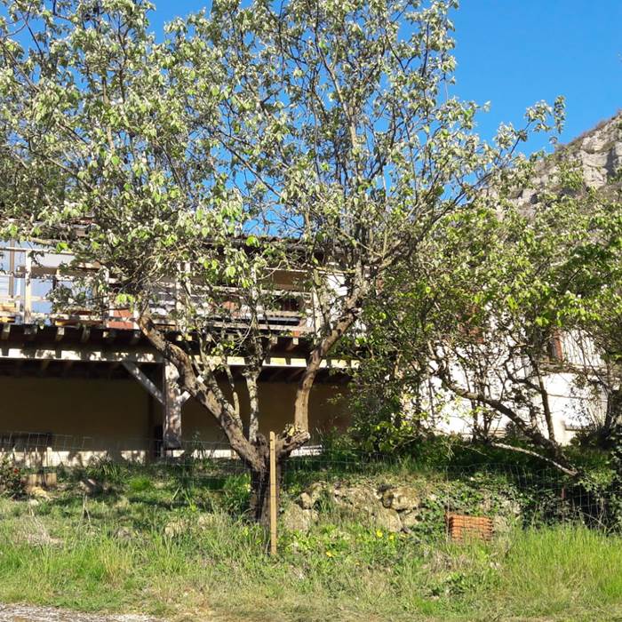 PHOTO-2024-05-09-12-17-07 2