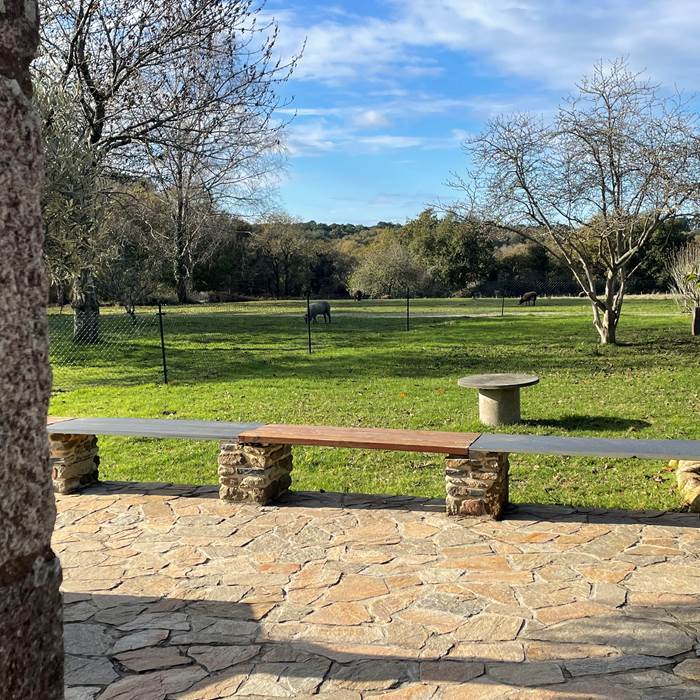 Sans titre-photo-news