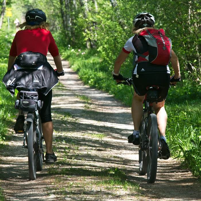 vtt