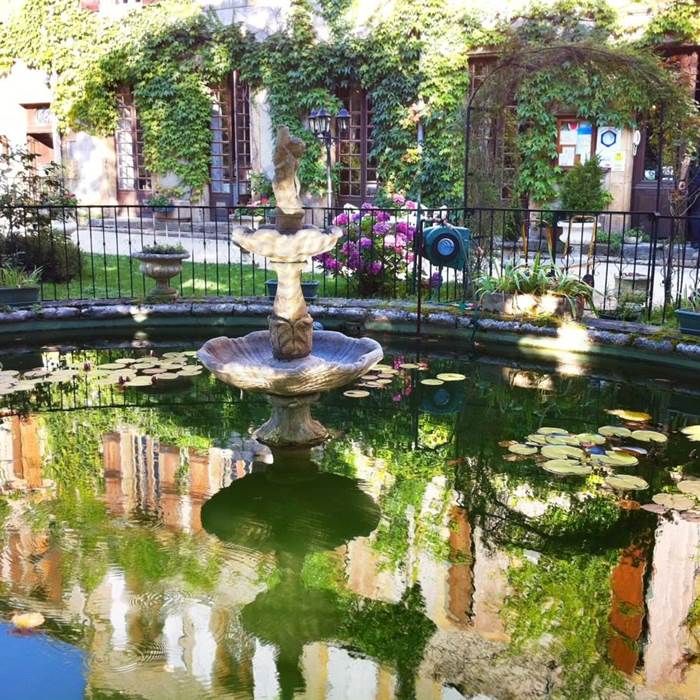 Hostellerie du grand duc bassin