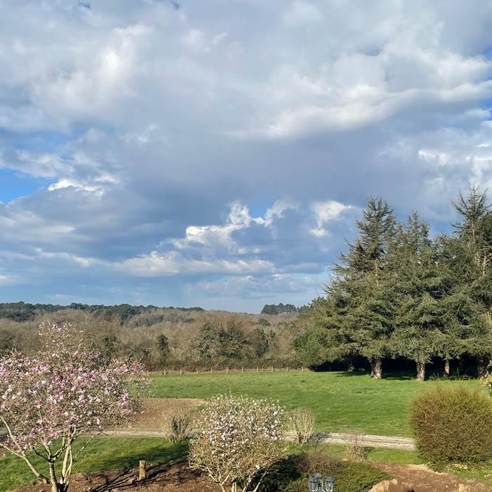 Sans titre-photo-news