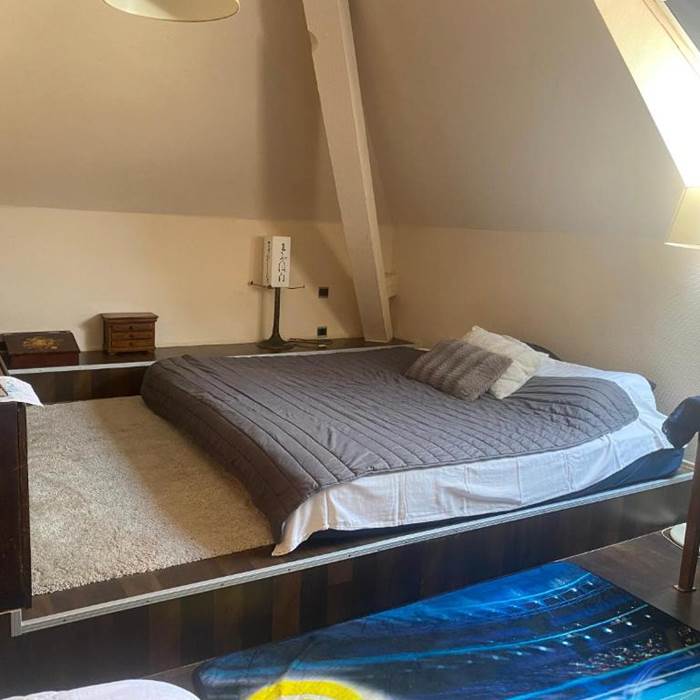 CHAMBRES-GUEBWILLER-Suite-1-Chambre-3-Personnes-Lit-Double
