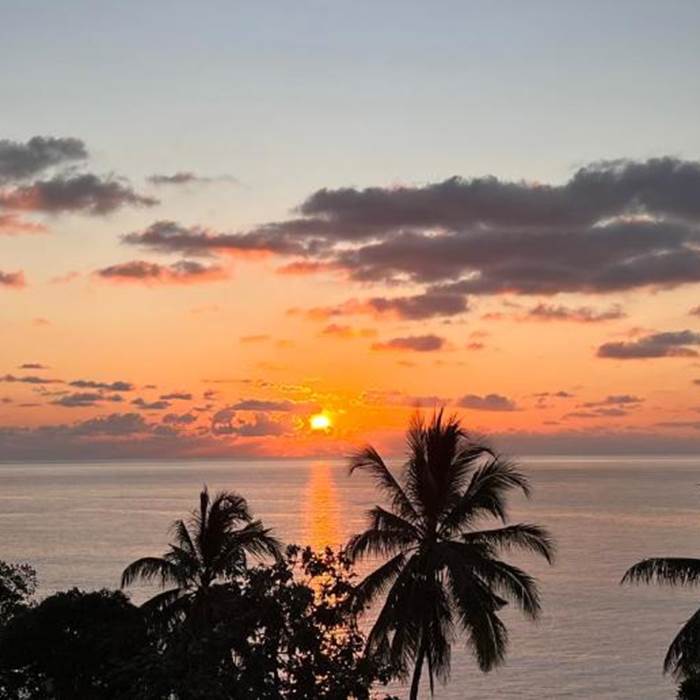 492909886