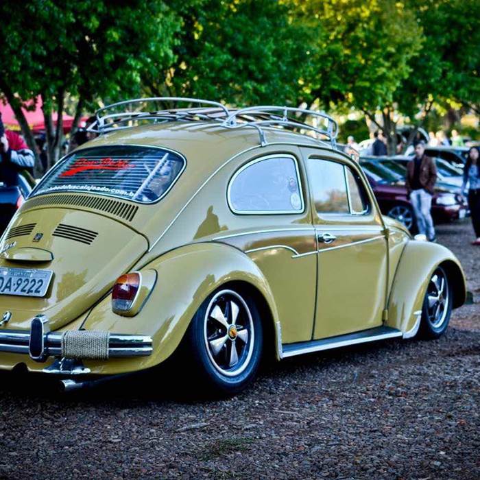 European Bug-In de Chimay