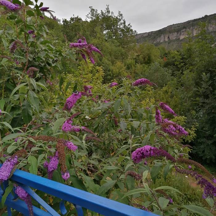 PHOTO-2024-05-16-14-09-22 5