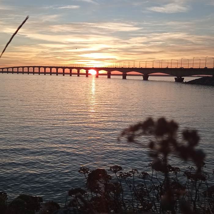 Coucher de soleil pont île de Ré