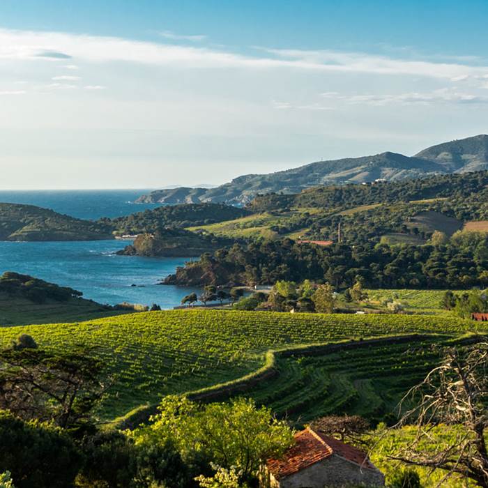 le vignoble-occitanie-gaillac-marssac-albi