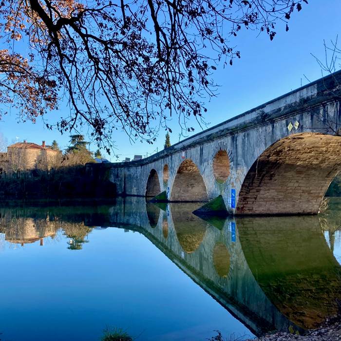 Pont de Marssac sur Tarn -randonnée - Chemin de Dominique -